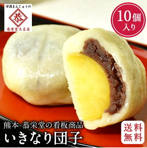 【送料無料 ・ 冷蔵】和菓子屋 恭栄堂 いきなり団子 個包装 10個入 つぶあん いきなりだんご 母の日 ギフト