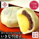 ★ 5/1はポイント10倍 【送料無料 ・ 冷蔵】和菓子屋 恭栄堂 いきなり団子 個包装 10個入  ...