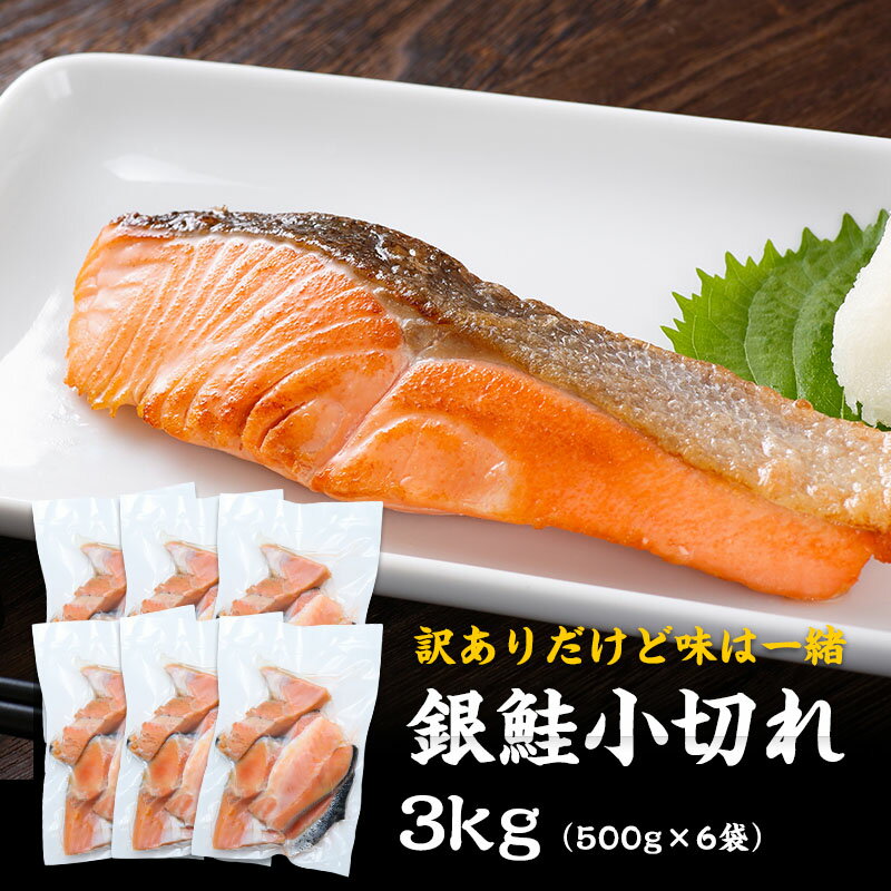 銀鮭 送料無料 訳あり 銀鮭 小切れ 3kg (500g×6袋) 鮭 生鮭 サケ サーモン 切り身 切身 切り落とし カマ はらす ハラス 業務用 冷凍 食品 詰め合わせ 塩引き鮭 食品ロス 共栄水産