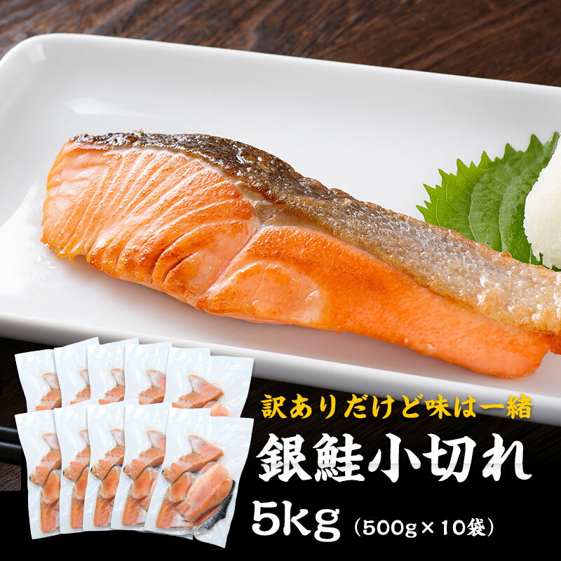 送料無料 訳あり 銀鮭 小切れ 5kg (500g×10袋) 鮭 生鮭...