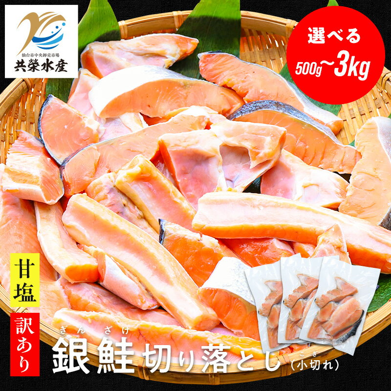 【送料無料】甘塩 銀鮭切り落とし 小切れ 選べる500g/1