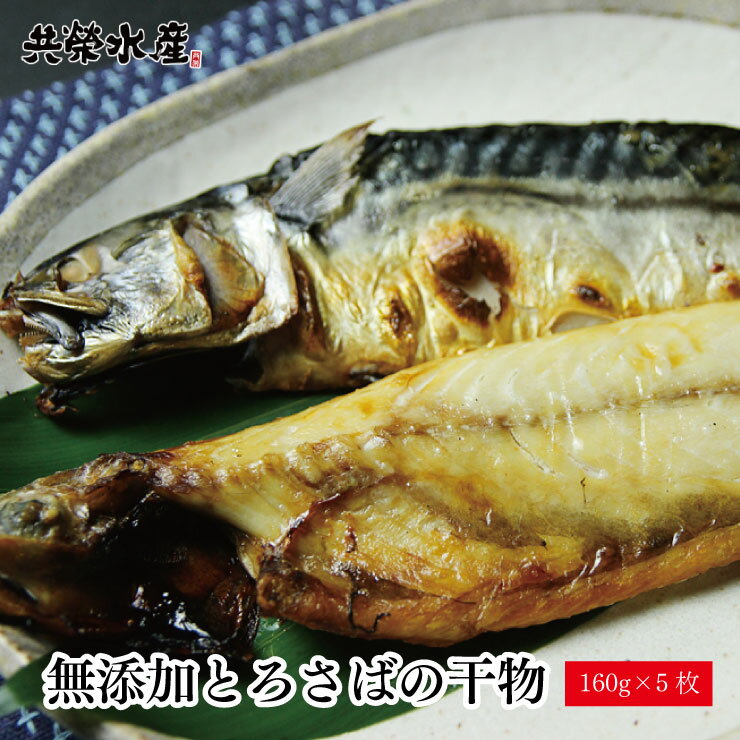 無添加とろさばの干物 5枚セット(1枚約160g) ポイント消化早割 共栄水産