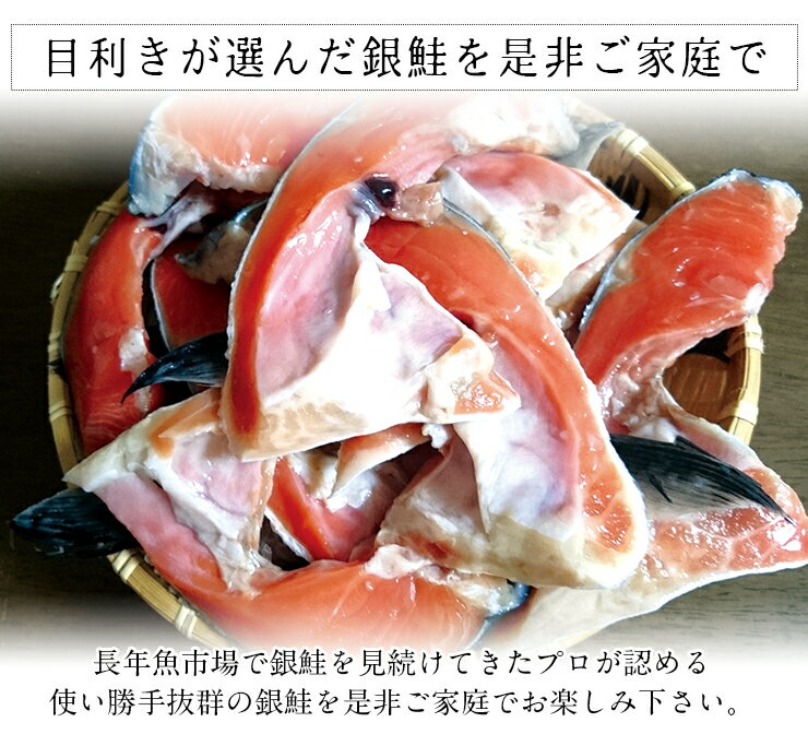 【送料無料】 訳あり 味は一緒 銀鮭 小切れ 3kg さけ 切り身 サケ ハラス