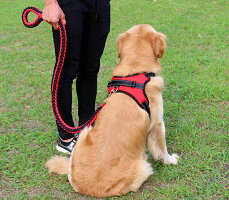 ハーネスお散歩グッズワンちゃん用胴輪愛犬グッズペットグッズ小型犬〜大型犬ペット用品