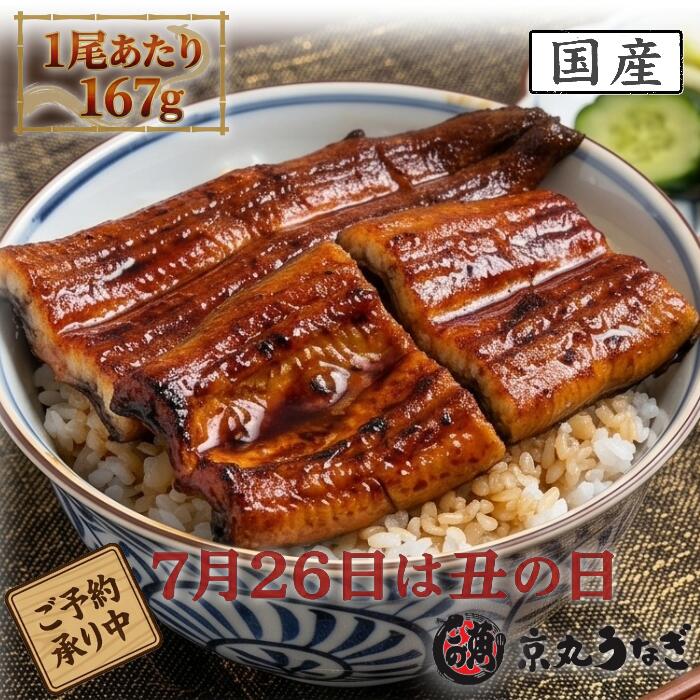 其它 - 【土用の丑の日】うなぎ 国産 蒲焼 京丸 特大 2尾 (1尾167g) 化粧箱入り 鰻 夏ギフト お中元 京丸うなぎ 贈り物 贅沢 お取り寄せ グルメ 誕生日 御祝 内祝 惣菜 ウナギ 高級 送料無料 詰め合わせ お得 疲労回復 スタミナ お家ごはん 肉厚