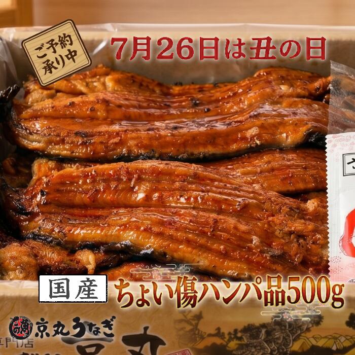 【土用の丑の日】うなぎ 蒲焼き 国産 訳あり 500g 詰め合わせ 送料無料 鰻 【 夏のスタミナ 気取らない贈り物 】 お取り寄せ グルメ 家族 団らん 大容量 たっぷり 夏ギフト お中元 実用的 食べ物 夏バテ解消 疲労回復 お家ごはん コスパ お得