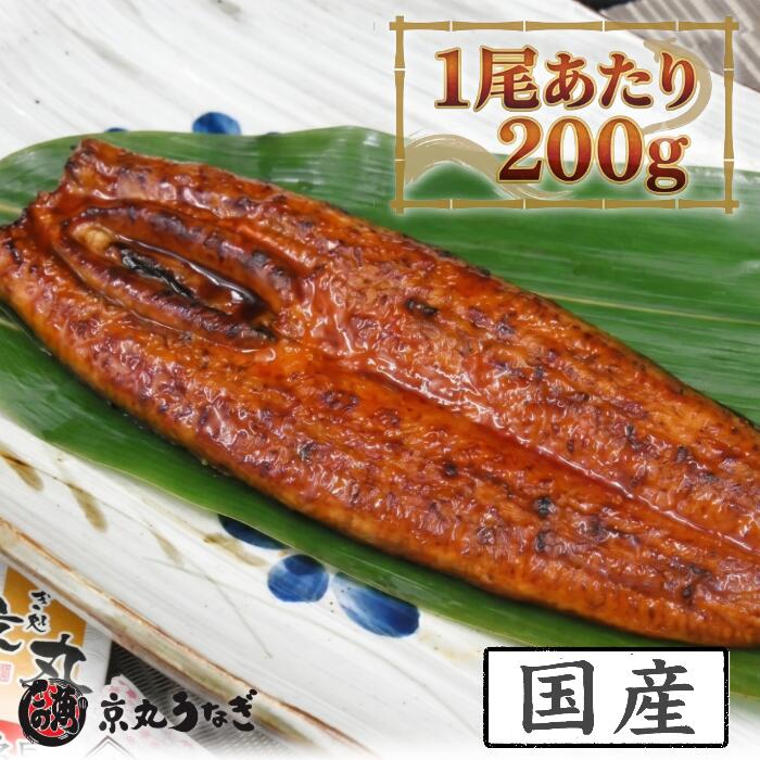 ■ 満足感たっぷりの特大サイズ。1尾200gの食べ応え ふっくらと香ばしく焼き上げた、1尾約200gの特大サイズの国産うなぎ蒲焼です。 しっかりとしたボリュームがあるので、ご家族でシェアしたり、贅沢にうな丼にしたりと、たっぷりと楽しんでいただけます。 いつもの食卓を少し特別にしたい時や、ご自身へのちょっとしたご褒美にもぴったりな大満足のサイズ感です。 ■ こだわりの「国産」うなぎ。静岡県・愛知県産 うなぎの名産地として知られる静岡県、および愛知県から、プロの目利きで質の良いニホンウナギを厳選。 恵まれた水環境で育ったうなぎは、皮が柔らかく、身の締まりと脂の乗りのバランスが絶妙なのが特徴です。 安心・安全な国産ブランドの誇りを持って、確かな品質をお届けします。 ■ 職人技が光る「京丸うなぎ」の焼き 静岡県沼津市のうなぎ問屋「京丸うなぎ」が、熟練の職人技で丹精込めて焼き上げました。 じっくりと蒸しを入れ、余分な脂を落としながらも、旨味をギュッと閉じ込める。 外は香ばしく、中はふっくらとろけるような食感。 タレと絡み合う伝統の味を、ぜひご堪能ください。 ■ 大切な想いを届ける「化粧箱入り」 ギフトとしてそのままお渡しいただけるよう、高級感のある専用の化粧箱に入れてお届けします。 ・お歳暮・御年賀に：一年の感謝を込めた特別な贈り物として。 ・誕生日・記念日に：お祝いの気持ちを伝える豪華なプレゼントとして。 ・お礼・内祝いに：お世話になった方への確かな品として。 山椒付きのタレもお選びいただいた尾数分を同梱。届いてすぐに、本格的な「うな重」や「うな丼」をお楽しみいただけます。 商品説明 名称 うなぎ蒲焼（ニホンウナギ） 原材料名 うなぎ（静岡県産・養殖もしくは愛知県産・養殖）、醤油（小麦・大豆を含む）、砂糖、ぶどう糖果糖液糖、発酵調味料、水あめ、鰻エキス（小麦・大豆を含む）／酒精、調味料（アミノ酸等）、増粘剤（加工澱粉、増粘多糖類）、着色料（カラメル、アナトー） 【添付タレ】醤油（小麦・大豆を含む）、砂糖、発酵調味料、鰻エキス、酒精、増粘剤（加工澱粉）、調味料（アミノ酸等）、着色料（カラメル、アナトー）、山椒 内容量 200g（1尾あたり）（タレ・山椒 尾数分付き） 総重量 ※お選びいただいた尾数により異なります（うなぎ本体重量：1尾あたり約200g） 総個数 1箱（お選びいただいた尾数入り） 産地（都道府県） 静岡県 または 愛知県 賞味期限 発送から30日（解凍後冷蔵保存で3日以内にお召し上がりください） 保存方法 要冷凍（－18℃以下） 製造者 京丸うなぎ株式会社 静岡県沼津市春日町31 TEL: 055-951-0358 アレルギー情報 小麦・大豆