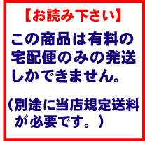 エーワン合同会社 スーパーエコノミー プリンタ用ラベル 10面 四辺余白付 500枚入