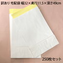 訳あり 数量限定 宅配袋 ホワイト 無地 250枚セット 発送袋 32×11.5×49cm ビジネス 仕事 郵便 郵送用 通販用