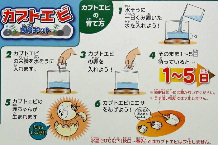 楽天市場 自由研究 生き物飼育セット カブトエビ飼育キット 銀鳥産業 生き物観察 教材自立共和国