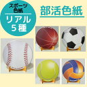 シノコマ スポーツ色紙(封筒・紙製スタンド付き)(リアル) 部活色紙 ベースボール サッカー バスケット テニス バレーボール 卒業式 思い出 寄せ書き メッセージ プレゼント 学習教材 教材