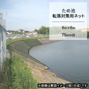 ため池転落対策ネット 6m×6m 75mm目 防災 農業 水害 災害 豪雨 溜池 キョーワ