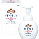 <ハンドソープ> ライオン キレイキレイ薬用泡ハンドソープ(250ml箱入)×8個【ハンドソープ 液体石鹸 プチギフト 引っ越しお礼 ご挨拶 御挨拶】