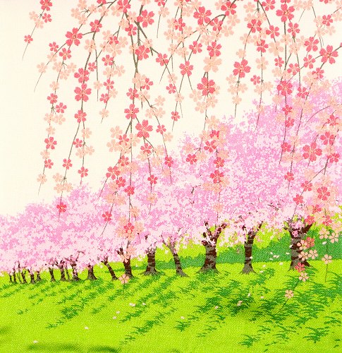 ブラックフライデ-1000円クーポン＆ポイント10倍/ ちりめん 桜 ピンク 風呂敷 ふろしき フロシキ レー..