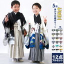 【豪華安心12点フルセット】 七五三 着物 男の子 5歳 袴 購入 販売 鷹兜松 鷹 兜 男児 753 羽織袴 羽織 袴セット 男の子袴 セット 和装 レトロ 龍 子供 五歳 5才 お正月 ボーイズ 110cm - 120cm (rg)