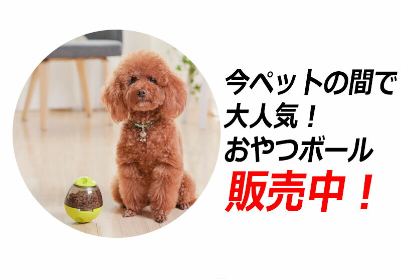 おやつボール 犬用 猫用 給餌 犬 猫 おやつ おもちゃ ボール 早食い防止 餌入れ ストレス解消 運動不足 エサ お留守番 知育玩具 ペットボール エサボール おやつボウル 日本語マニュアル