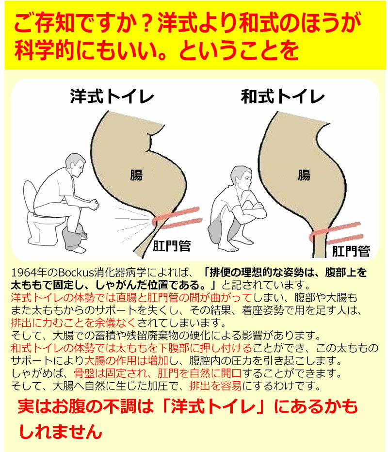 洋式 トイレ用 足置き台 和式トイレ の良さを 洋式トイレ で！ お通じ 解消 トイレ踏み台 子ども トイレトレーニングにも