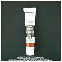 ターナー アクリルガッシュA色 20ml #34 AGA20 バーントシェナー