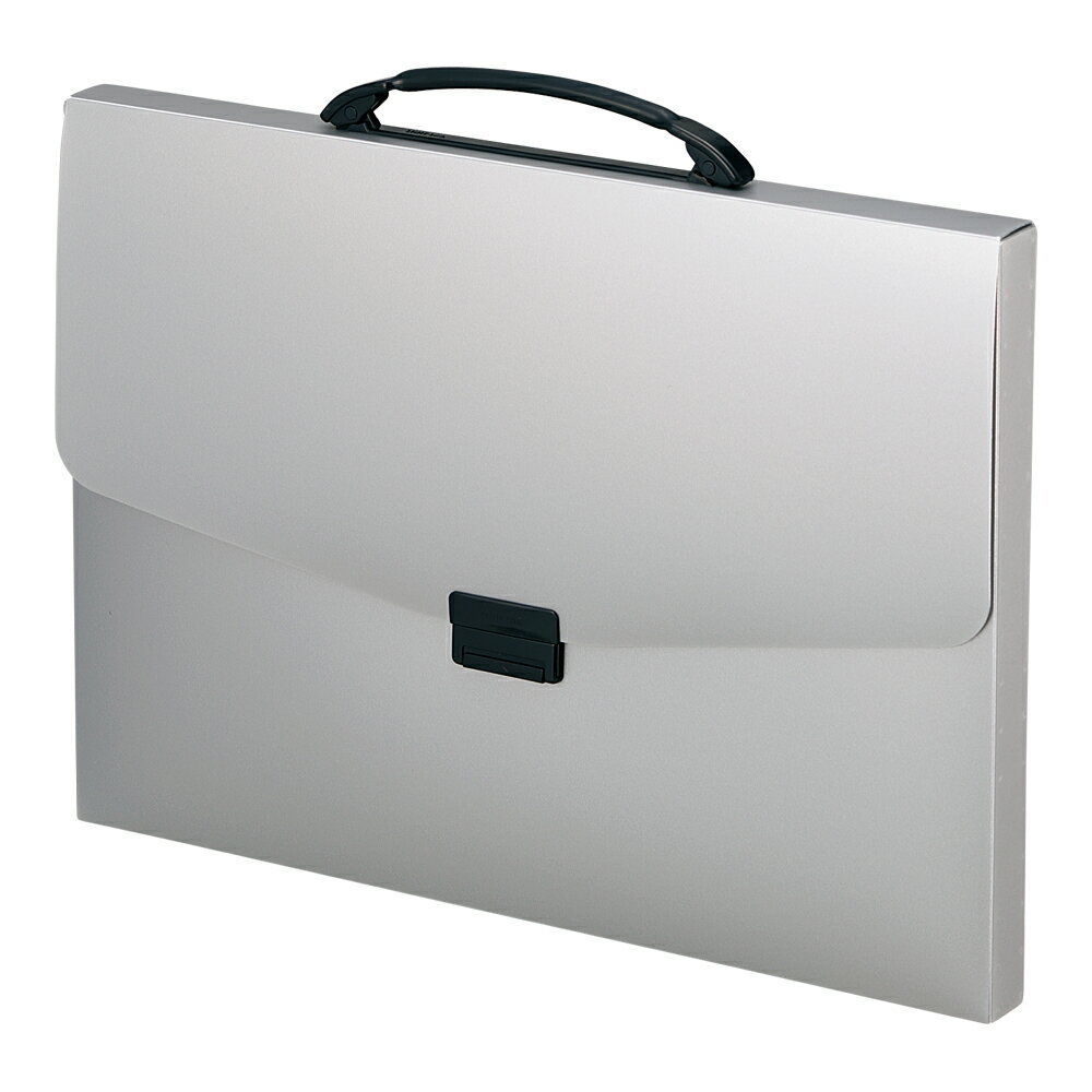 リヒトラブ F-1622 ポートフォリオ・ナスカ・フレックス A3規格 シルバー F-1622