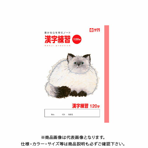 サクラクレパス 漢字120字 NP55