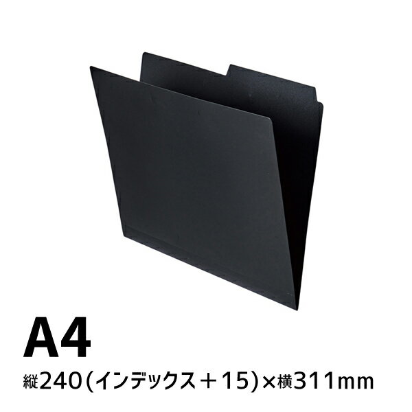 リヒトラブ Roomy 個別フォルダー A4 ブラック F-292-24