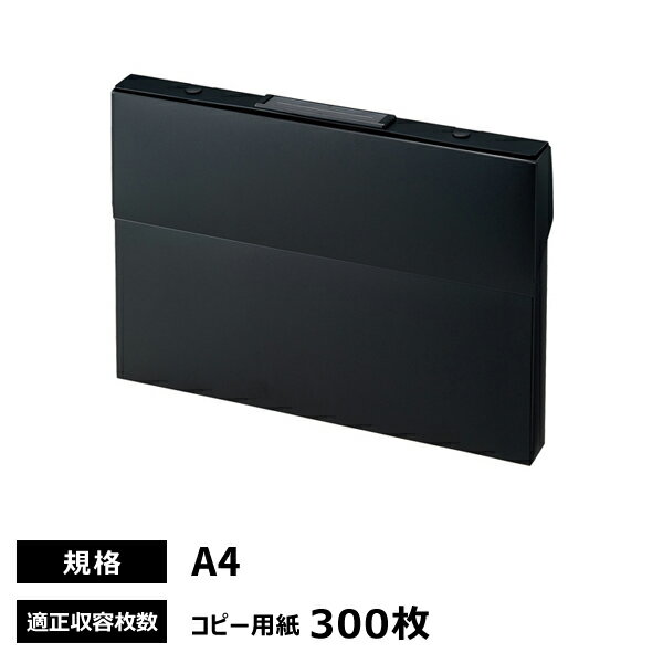 リヒトラブ Roomy ケースファイル A4 ブラック A-799-24