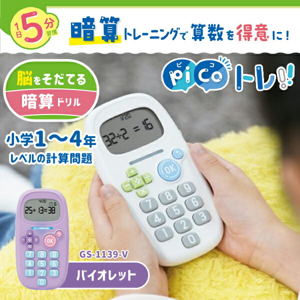 SONiC ソニック ピコトレ 暗算ドリル 四則計算用 1日5分で脳をそだてる バイオレット GS-1139-V