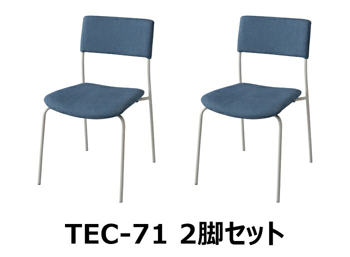 チェア 座面高47cm 2脚セット インディゴ イス 椅子 シンプル ダイニング リビング 一脚 一人掛け ベーシック アームレス 肘なし 背もたれ スタイリッシュ メーカー直送品 東谷 TEC-71
