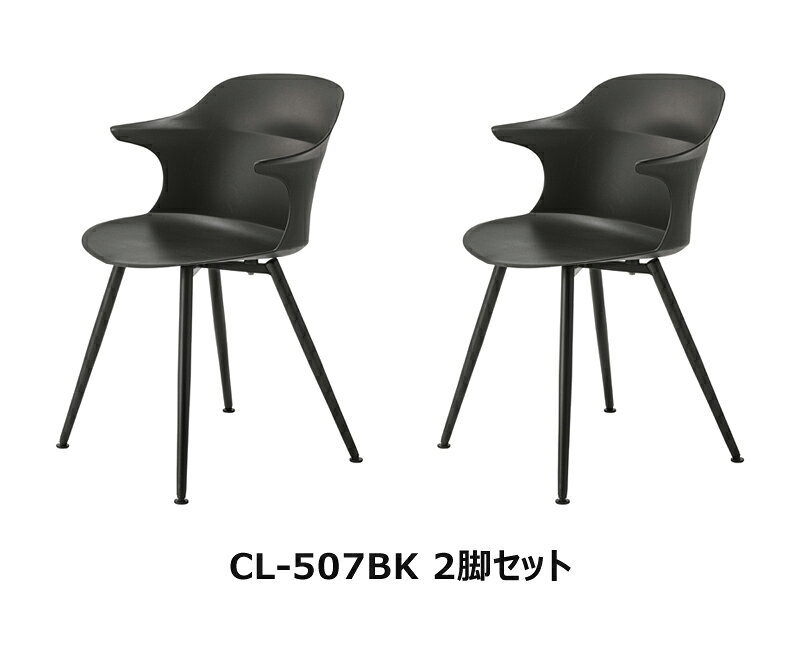 【メーカー在庫限り】アヴァン チェア 座面高45cm 2脚セット ブラック ダイニングチェア 椅子 ダイニング リビング 食卓 スタイリッシュ 個性的 おしゃれ カフェ 店舗 ポリプロピレン スチール かわいい メーカー直送品 東谷 CL-507BK [2]