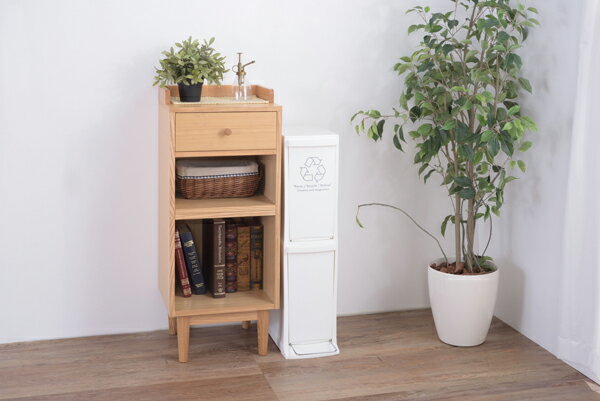 ダストボックス2D 20L ホワイト 1段10L ゴミ箱 2段 分別 スリムタイプ 幅21cm キッチン 家具 隙間 シンプル フラップ式 ペダル式 袋止め 直送品 東谷 LFS-932WH [3]