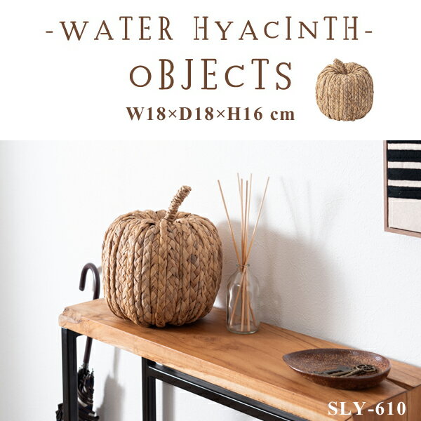 ウォーターヒヤシンスオブジェφ18...