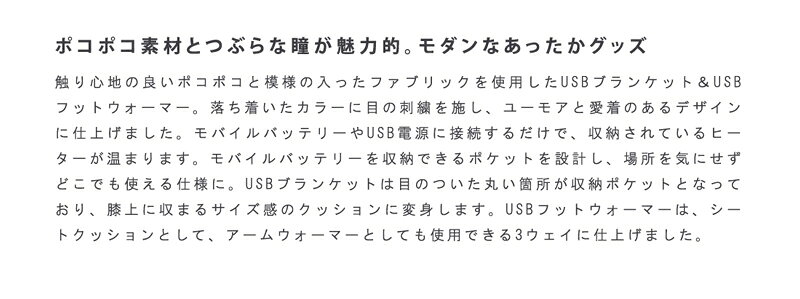 USB足入れ 2個セット USBフットウォーマー あったかグッズ 冷え性対策 コンパクト ...
