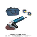 ボッシュ BOSCH DIA125-SETJ ダイヤモンドグラインダーセット限定