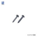 デンサン DENSAN コンビス フッ素シルバー処理(皿頭・袋入) DCB-25S