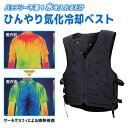 【数量限定】ひんやり気化冷却ベスト フリーサイズ DAISHIN 大進 WEC-25F