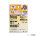 三共 HNA6-75 6角軸付ナイロンバフ 荒目