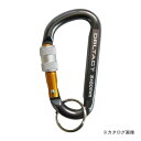 三共 DT-AKL-181 アルミカラビナ ロック 8mm(4)