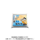 家庭化学工業 60分防水セメント 2KG