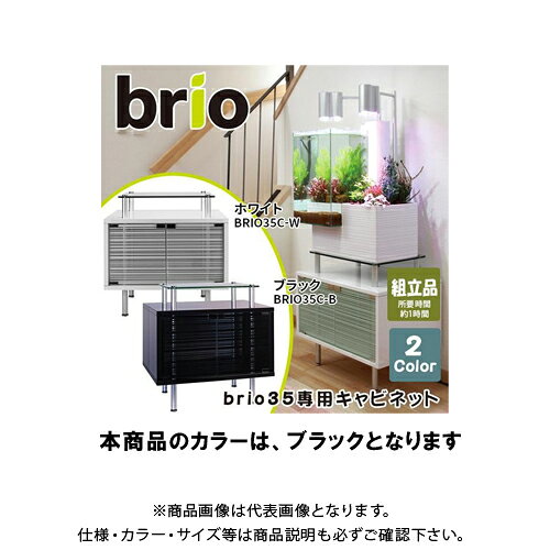���������ӡۡ�ľ���ʡۥ٥�ѡ��ȥʡ� brio35���ѥ���ӥͥå� (�֥�å�) 329021
