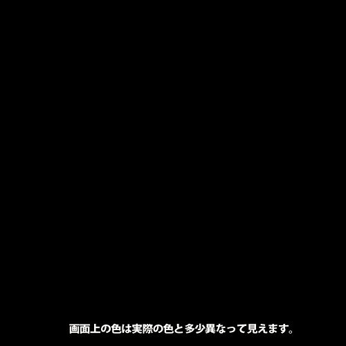カンペハピオ ヌーロスプレー くろ 100ML 00537650022100