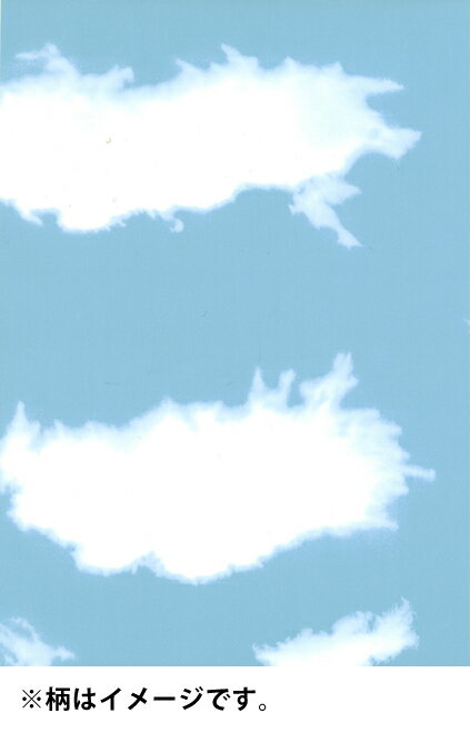 アサヒペン AP メイクアップシート 90cmX2m W2-27