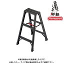 【送料別途】【直送品】ハセガワ 長谷川工業 専用脚立 脚軽BLACK 3段 天板高0.79m RZB-09b 17761