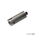 ハウスビーエム ハウスB.M サイディング・ウッドコアドリル(回転用)ボディ SWB-105