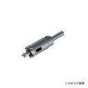 ハウスビーエム ハウスB.M トリプル超硬ロングホルソー(回転用) 31mm SHP-31(4)