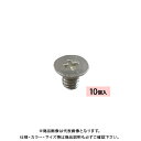 ホーザン HOZAN 取付ネジ 10個入 (P-550-C用) P-550-0