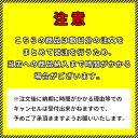 【送料別途】【直送品】万協 UR型支持脚 (80本入) UR-145 2