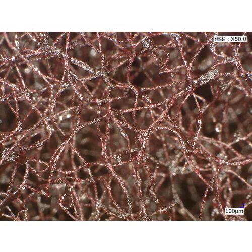 �ե��֥�å������� �ץ�ߥ��� 15���� GN S A12 (#320����) 150��230 NCA ��¥ܥ� BFS-GNS-000223A