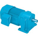 シグマー 三相SG-P1ギアモーター 出力0.2Kw 減速比1/30 TML2-02-30(4)