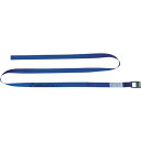 allsafe ベルト荷締機 カム式ラウンドタイプ(中荷重) C2R5(4)