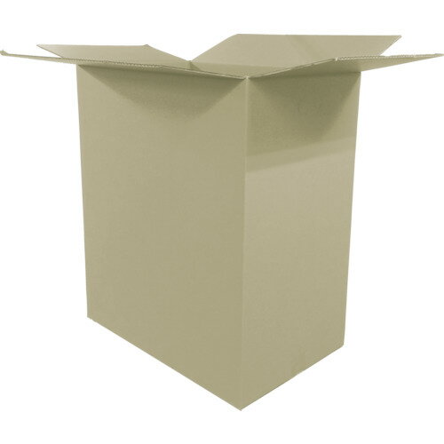 【送料別途】【直送品】IRIS 573123 ダンボール 565×370×665 10枚 M-DB-160B